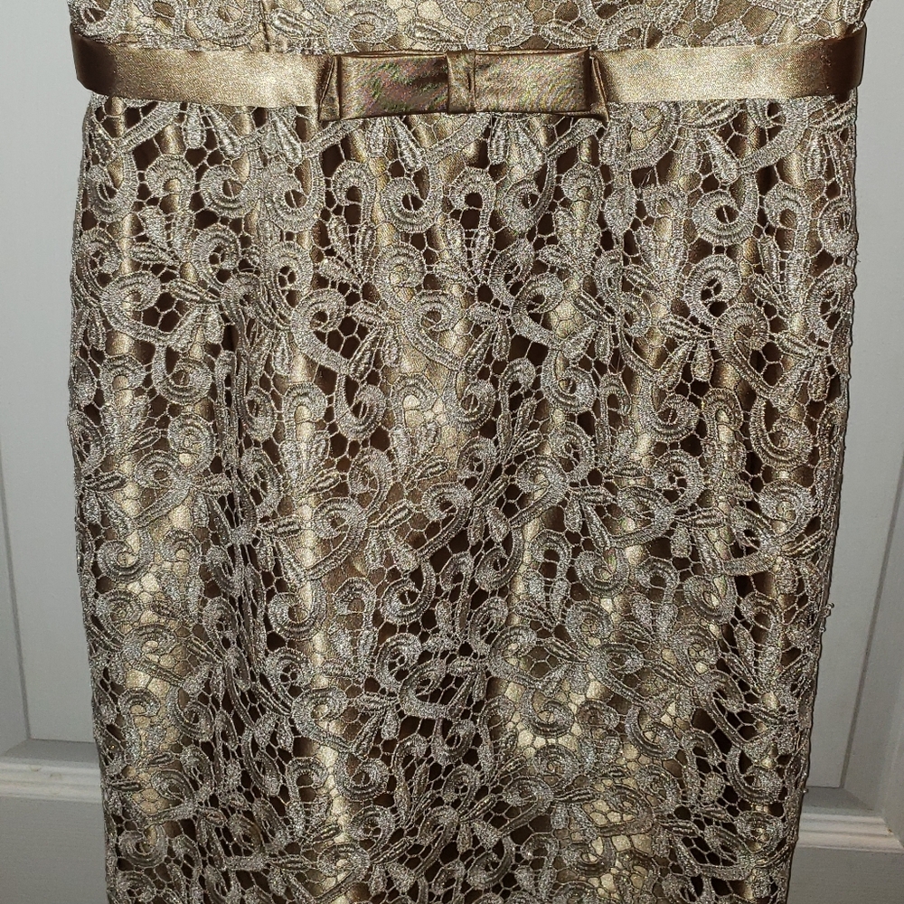 Cache Strapless Gold Midi Embroidered Dress - Picture 10 of 10
